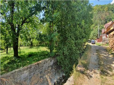 Teren Siriu Zona turistica