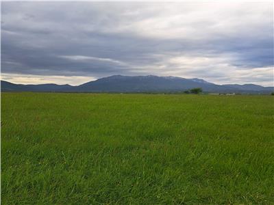 Teren extravilan 5650mp Rasnov
