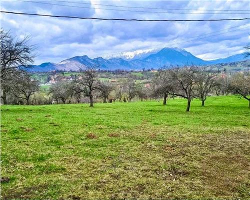 Teren de vanzare in Sohodol  Priveliste deosebita, loc ideal pentru investitie!