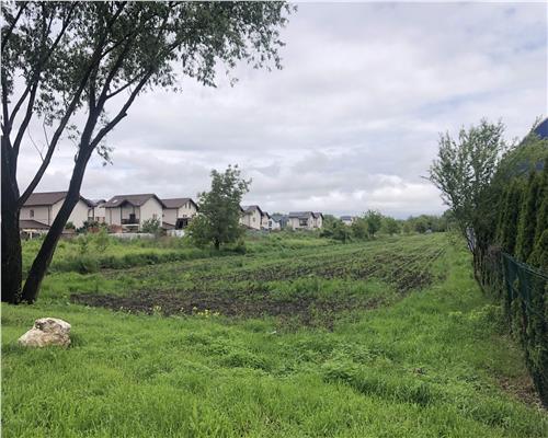 Teren 5000 mp, constructie civila, P+1+M, zona rezidentiala Bartolommeu