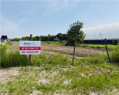 Teren intravilan 5000 mp, constructie civila, P+1+M, Cartier Bartolomeu