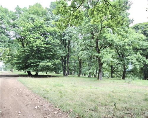 Teren 4713 mp pentru Dezvoltatori Imobiliari | Poiana Brasov