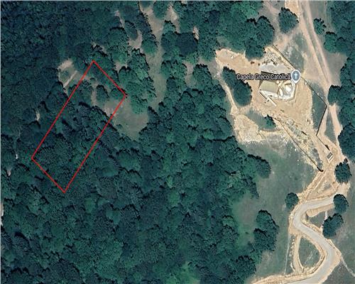 Teren de vanzare 4713 mp investitie | Poiana Brasov