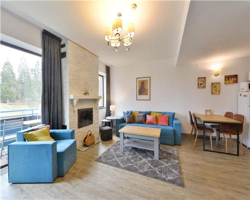 Apartament confortabil 3 cam Silver Mountain