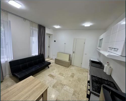 Studio modern  ultracentral Petfriendly