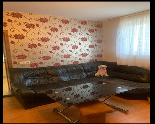 Apartament 2 camere la casa Petfriendly  13 Decembrie