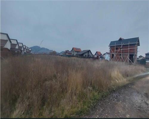 Teren Intravilan 700MP Si Proiect Sanpetru