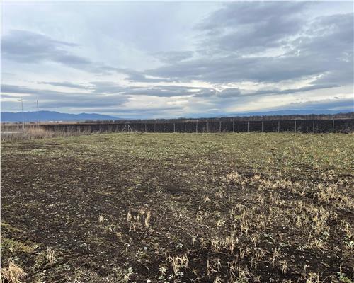 Teren intravilan, Industrial, Codlea