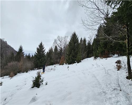 Teren superb extravilan in apropiere de Poiana Brasov