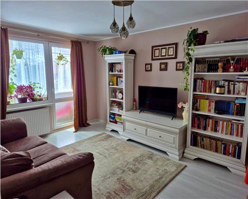 Apartament Doua Camere Craiter